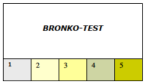 Bronko-test-skema skala fra 1 til 5